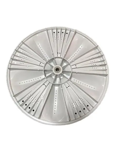 WhatsApp Image 2025-08-19 at 12.02.40 PM.webp